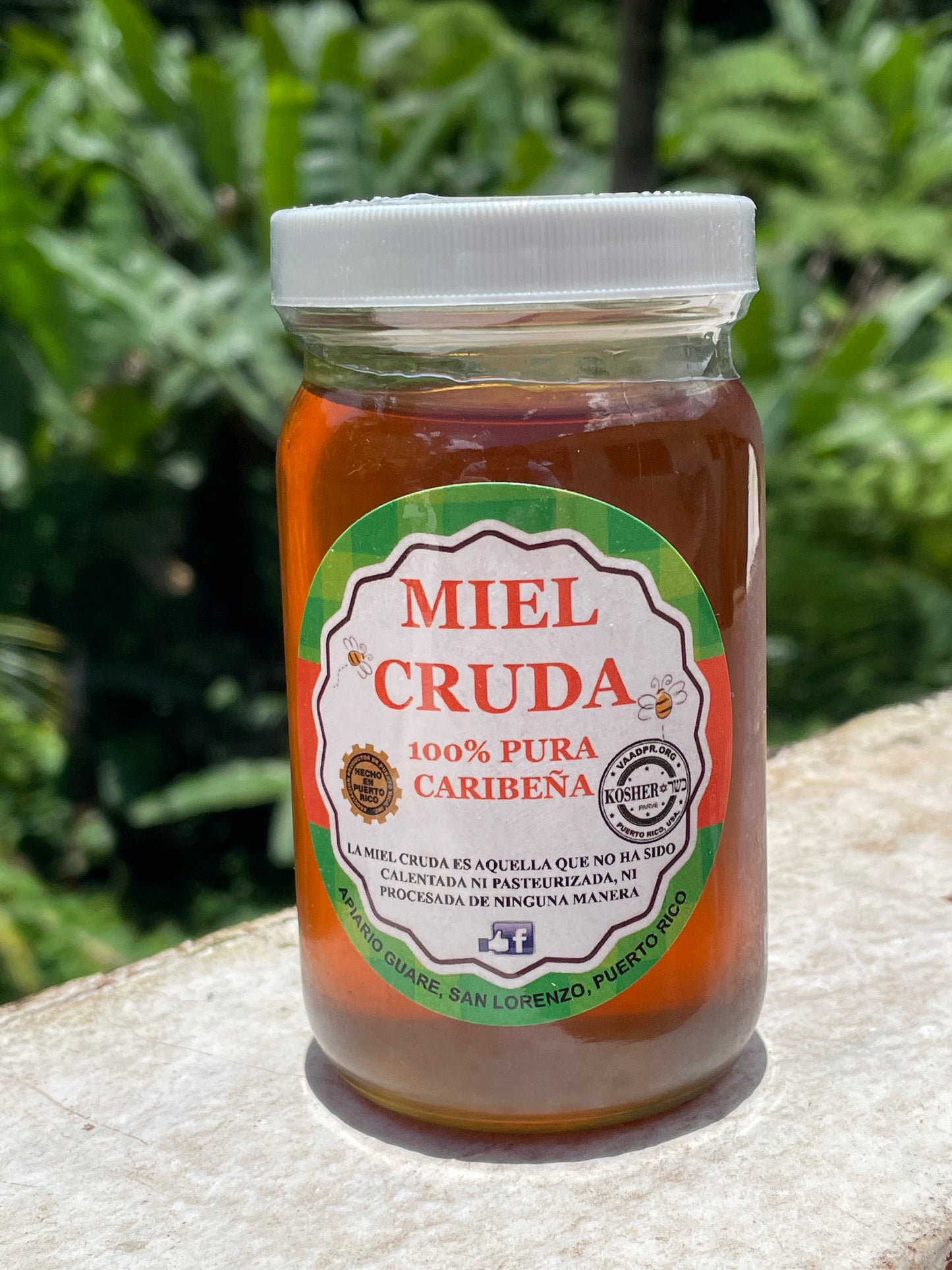 Puerto Rican Raw Honey