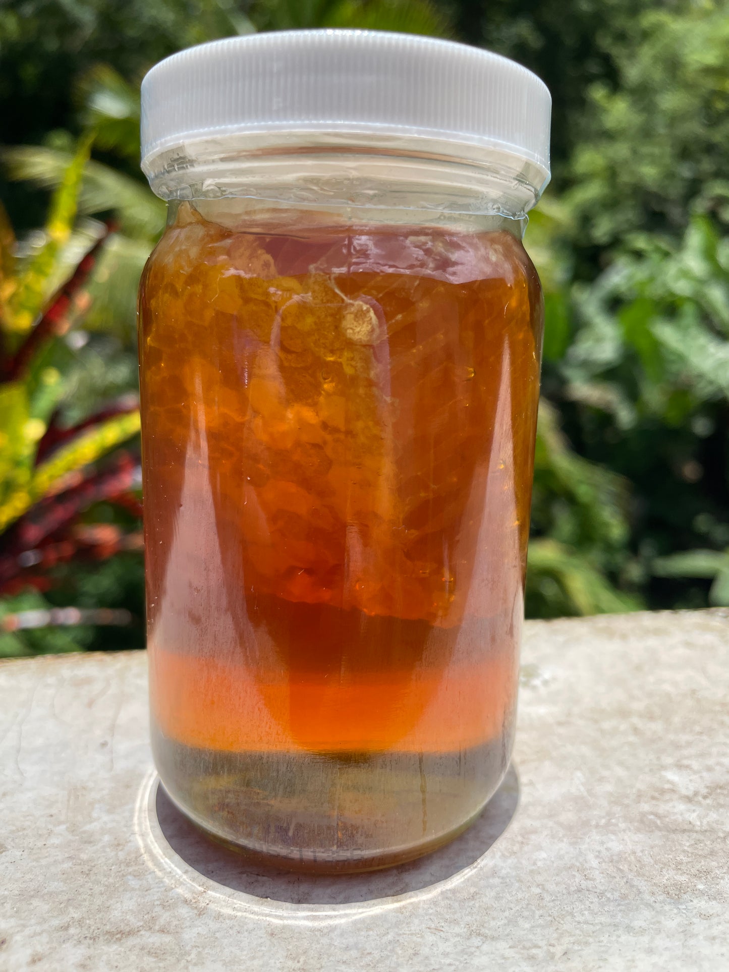 Puerto Rican Raw Honey